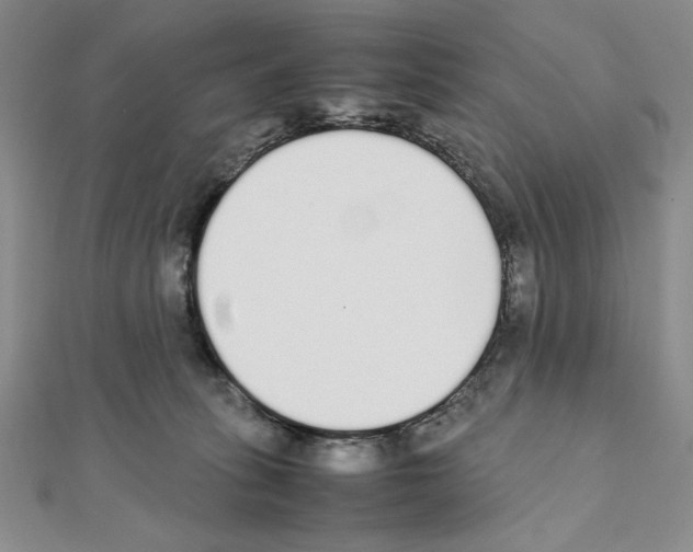 X0000111140275200907281118