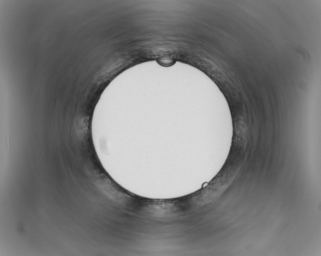 X0000111140278200907281118