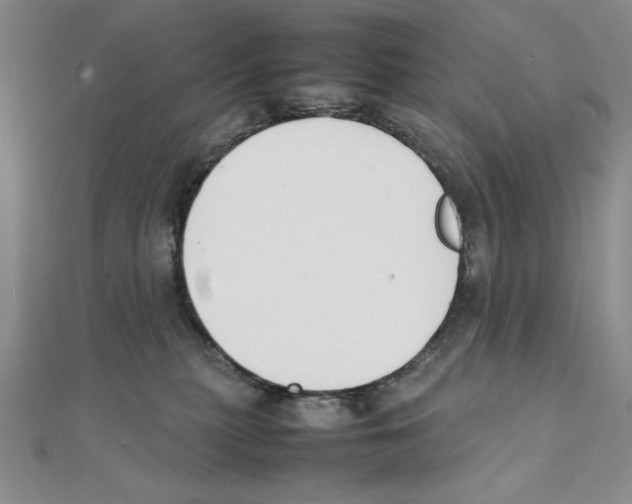 X0000111140279200907281118