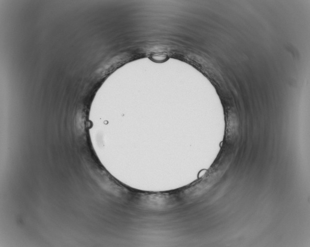 X0000111140282200907281118