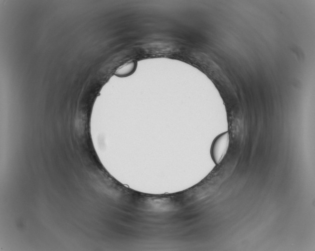 X0000111140283200907281118