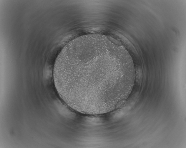 X0000111140284200907281118