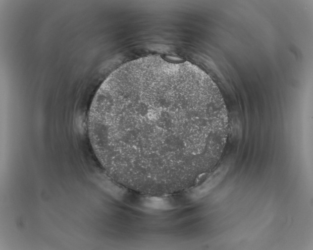 X0000111140285200907281118