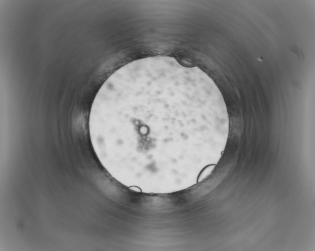 X0000111140286200907281118