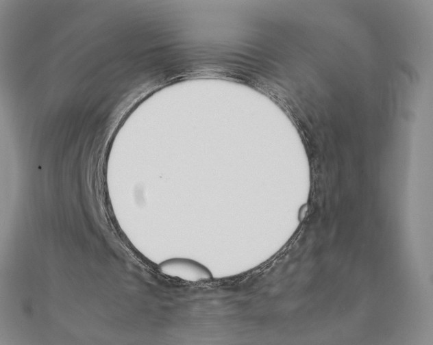 X0000111140289200907281117