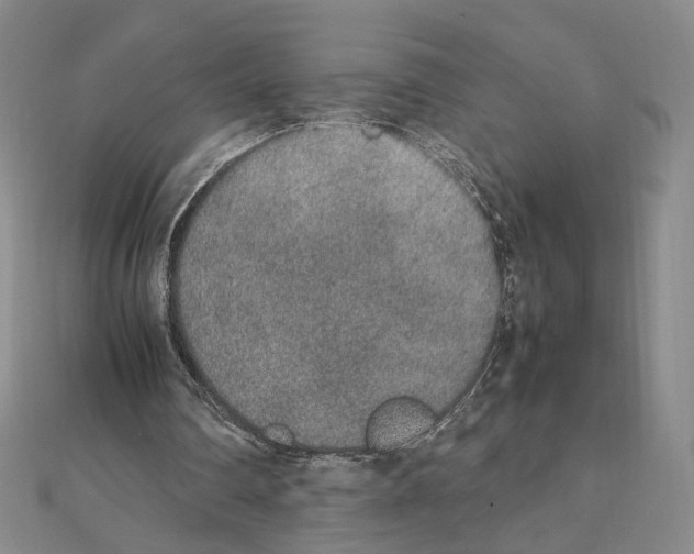 X0000111140290200907281117