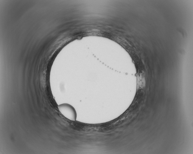 X0000111140291200907281117