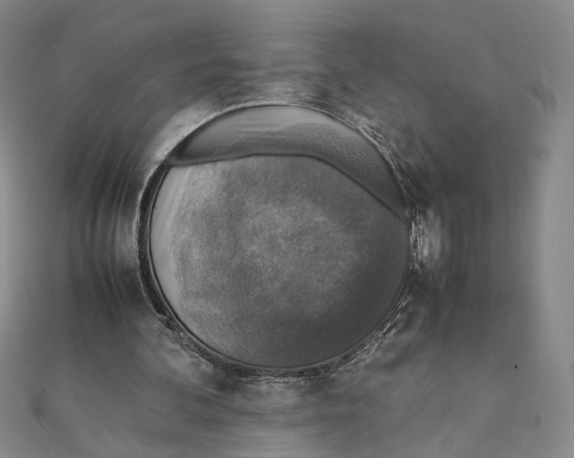 X0000111140292200907281117