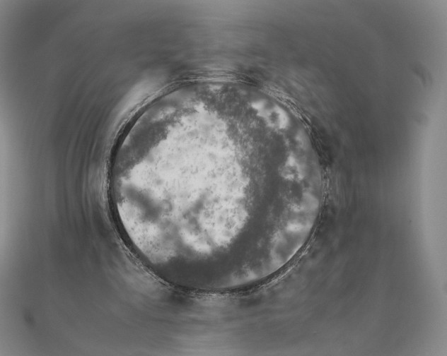 X0000111140293200907281117