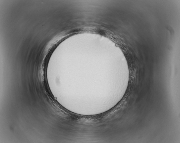 X0000111140294200907281117