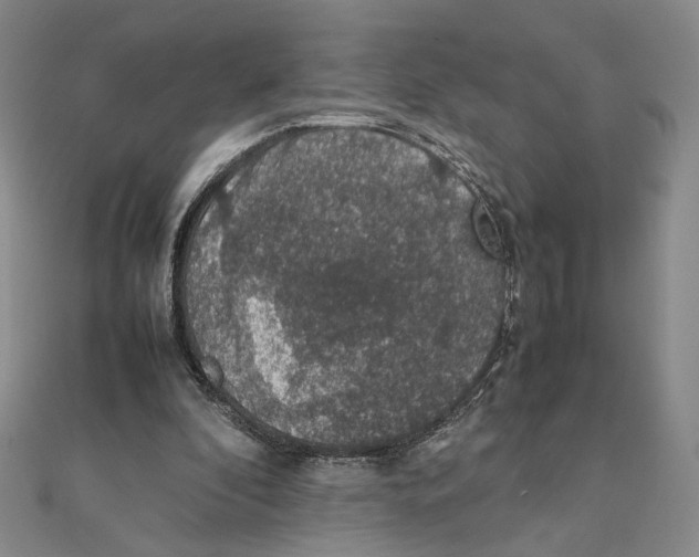 X0000111140296200907281117