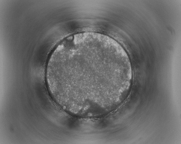 X0000111140297200907281117