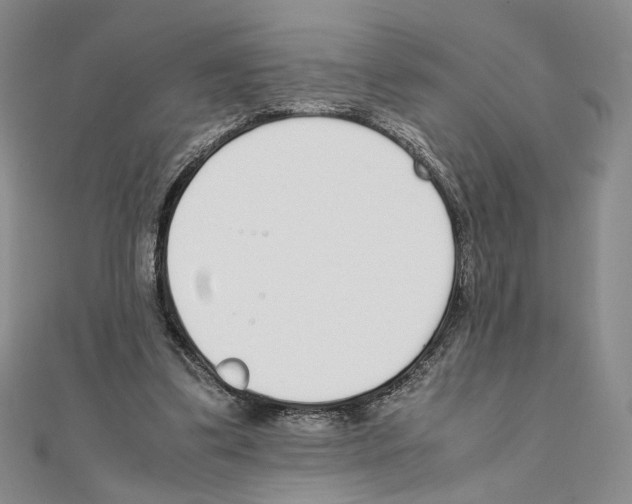 X0000111140299200907281117