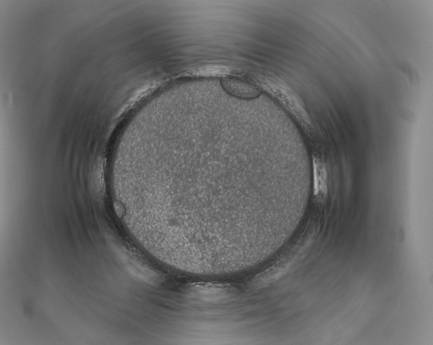 X0000111140300200907281117