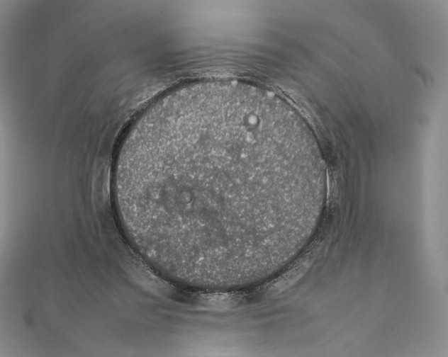 X0000111140301200907281117