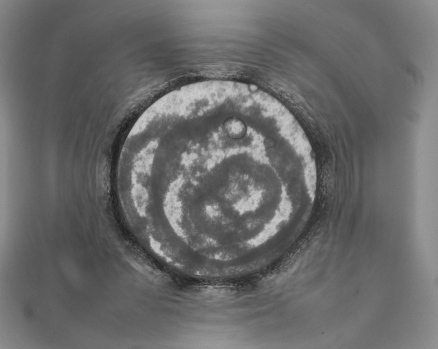 X0000111140303200907281117