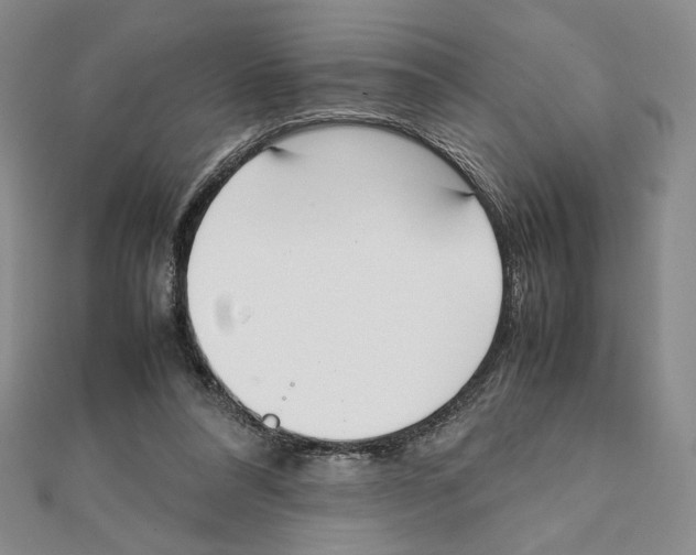 X0000111140304200907281117