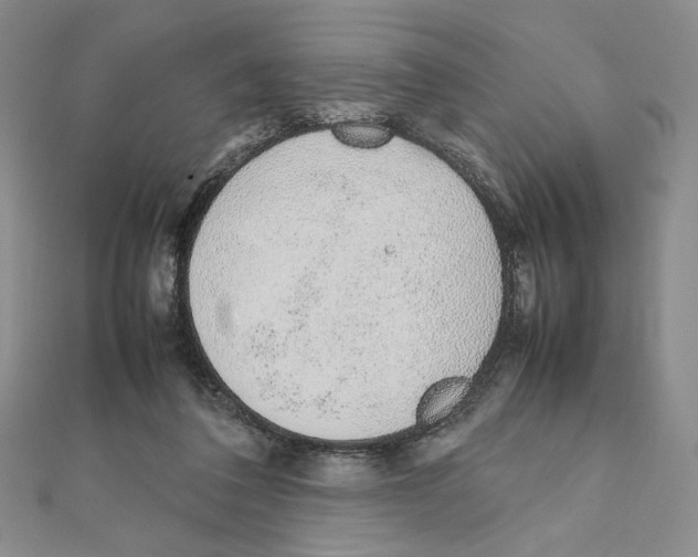 X0000111140308200907281117