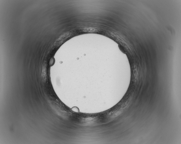 X0000111140312200907281117