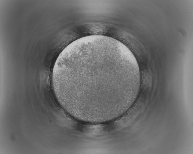 X0000111140313200907281117