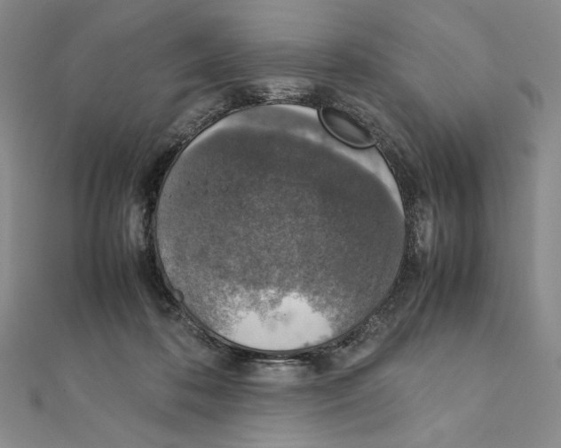 X0000111140316200907281117