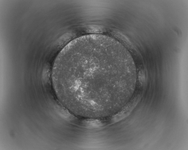 X0000111140322200907281117