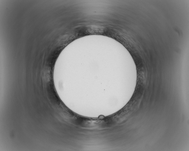 X0000111140323200907281117