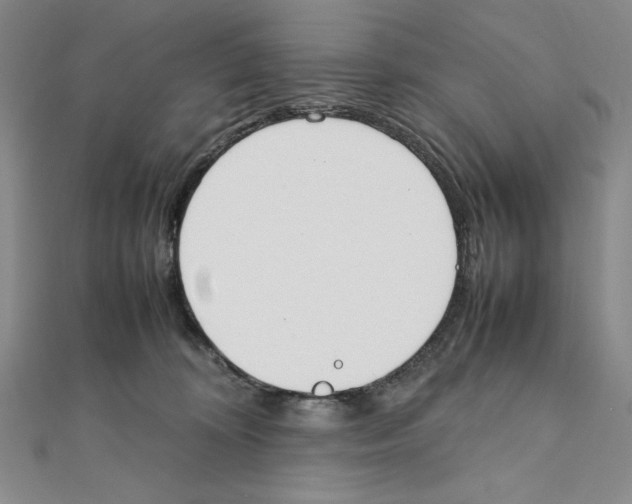 X0000111140324200907281117