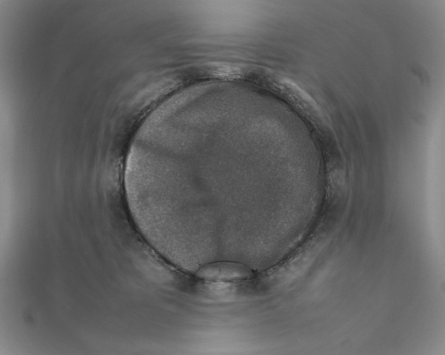 X0000111140325200907281117