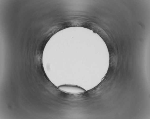 X0000111140329200907281117