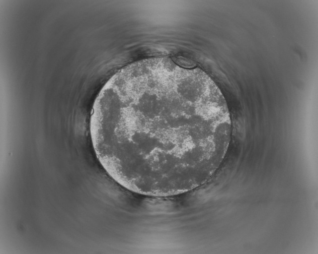 X0000111140331200907281117