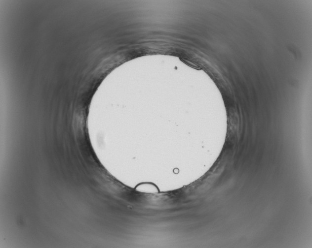 X0000111140333200907281117