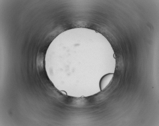 X0000111140334200907281117