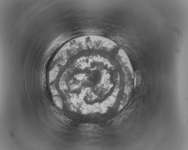 X0000111140339200907281116