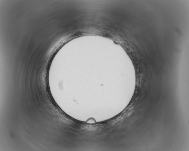 X0000111140341200907281116