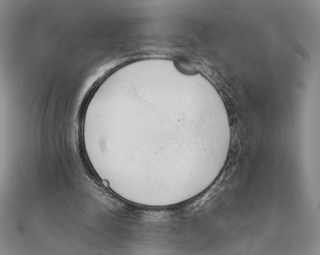 X0000111140342200907281116