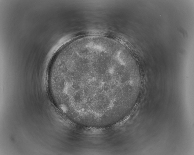 X0000111140343200907281116