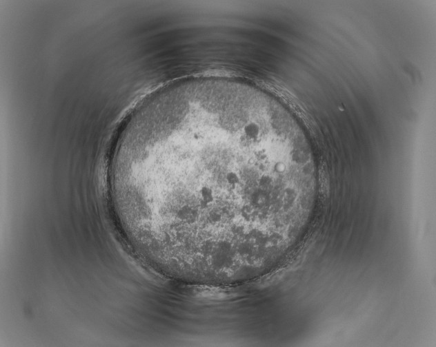 X0000111140347200907281116