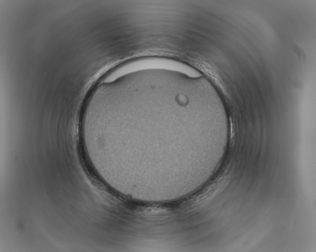 X0000111140348200907281116