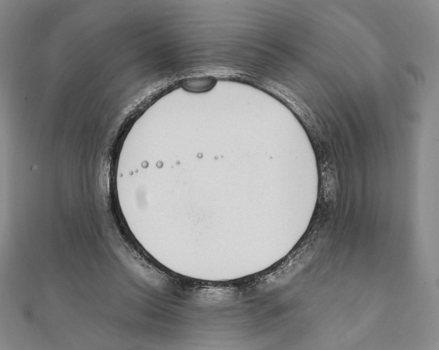 X0000111140350200907281116