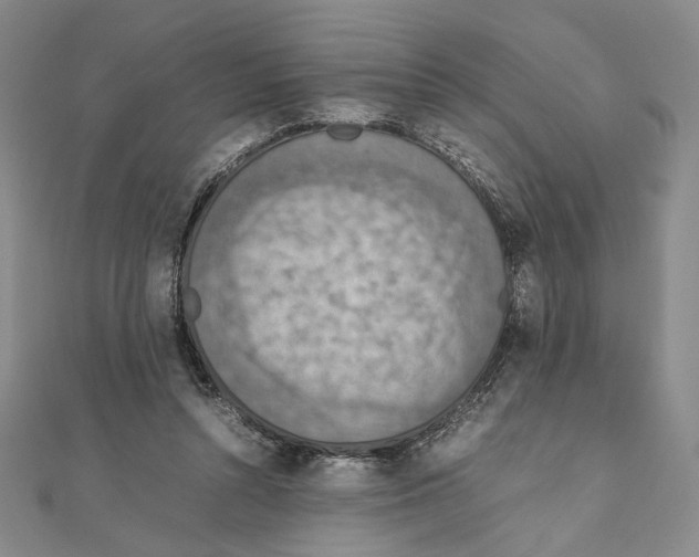 X0000111140352200907281116