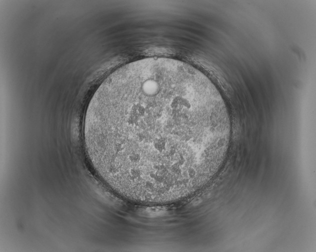 X0000111140353200907281116