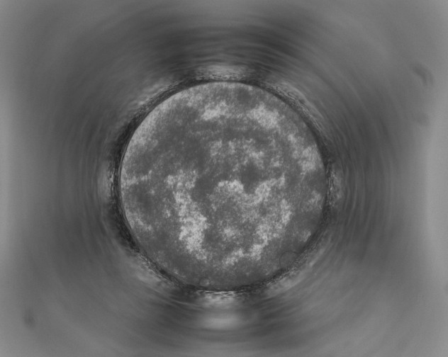 X0000111140355200907281116