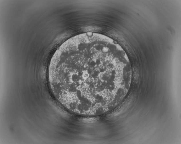 X0000111140357200907281116