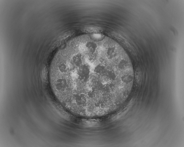 X0000111140359200907281117