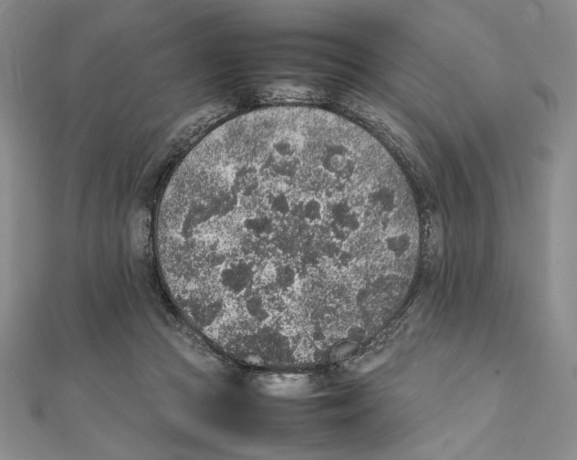 X0000111140361200907281117