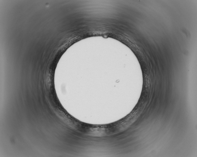 X0000111140362200907281117