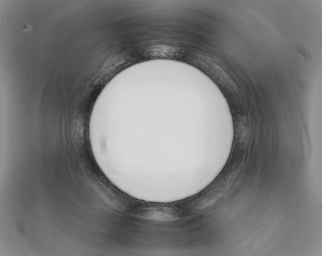 X0000111140363200907281117