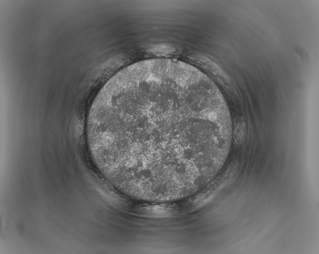 X0000111140365200907281117