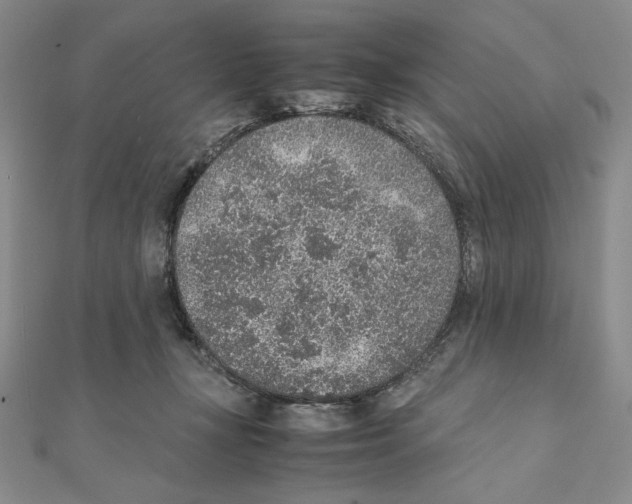 X0000111140367200907281117